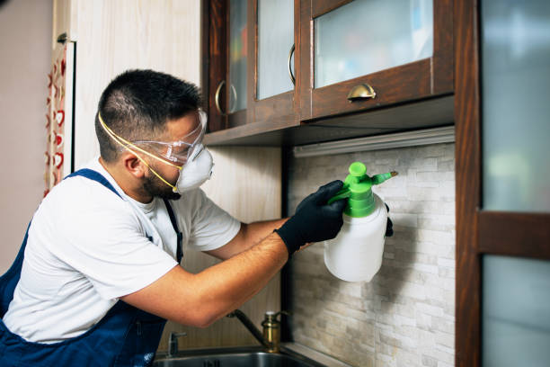 Best Best Pest Control Companies  in Romancoke, MD