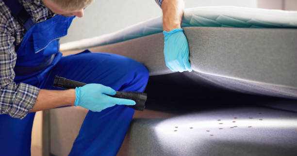 Best Rat Extermination Near Me  in Romancoke, MD